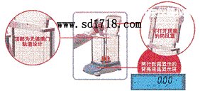 丹東先進型天平,3100g,0.01g