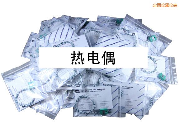 定西熱電偶