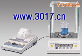貴陽(yáng)BT系列精密天平,105/210g,0.1/1mg