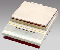 嘉興電子天平,3100g,0.1g