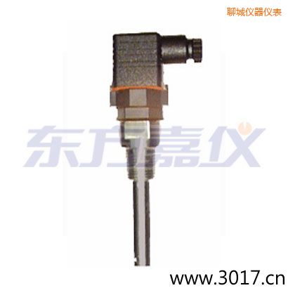 聊城含有溫度的兩線電導率電極