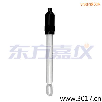 寧波無溫補兩線電導(dǎo)率電極