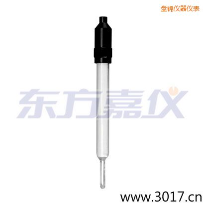 盤錦玻璃外殼無溫補(bǔ)兩線電導(dǎo)率電極