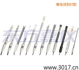 青島離子選擇性電極