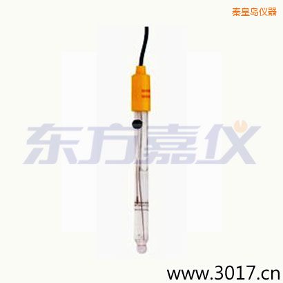 秦皇島可填充玻璃管電極