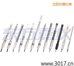 沈陽離子選擇性電極