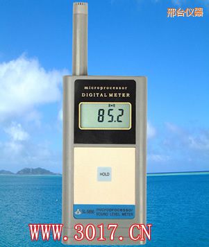 邢臺聲級計(jì)(噪音計(jì))