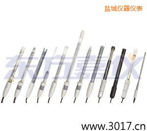 鹽城離子選擇性電極